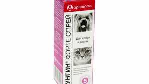 Forught forte pre mačky: ako požiadať od deprivácie